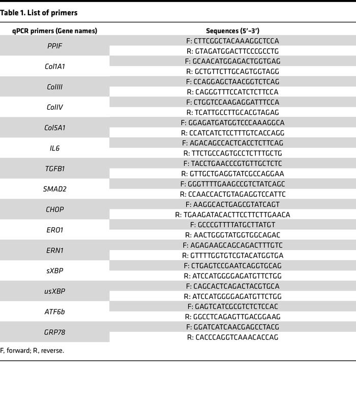 List of primers