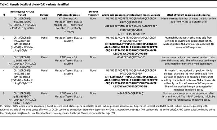 Genetic details of the HMGA2 variants identified