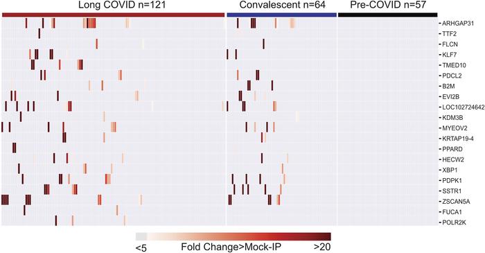 Post-COVID autoreactivities are similarly distributed among long COVID a...