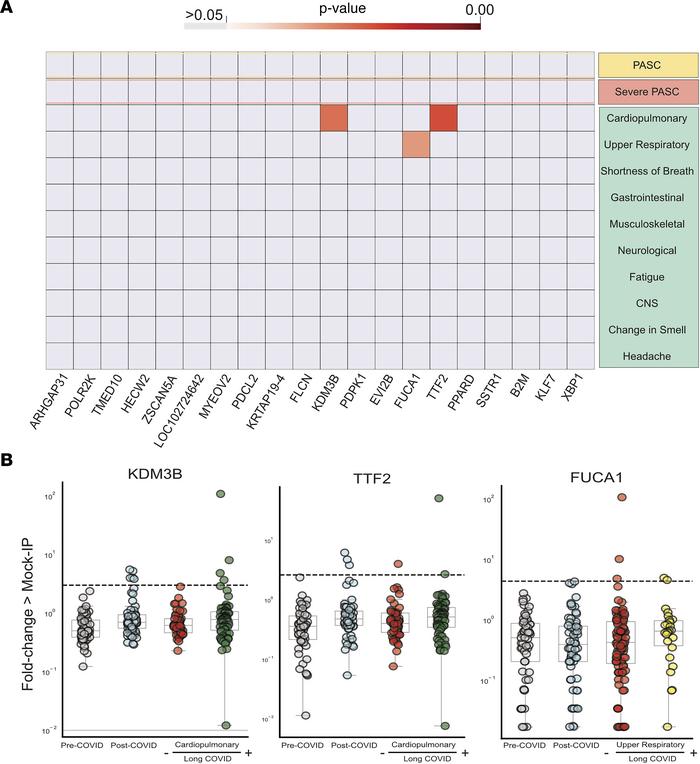 Few significantly increased autoreactivities in long COVID symptom pheno...