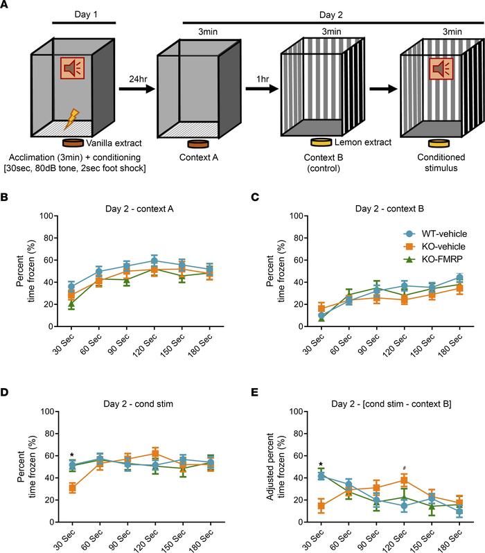 Normalization of fear memory response to conditioned stimulus in mice tr...