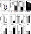 Changes in miRNA expression profile in the intestinal mucosa after Cdr1as d