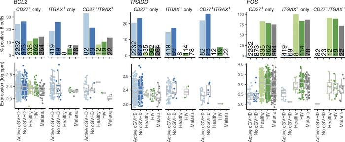 
CD27 and ITGAX memory B cell subsets from allo-HCT patients are altered...