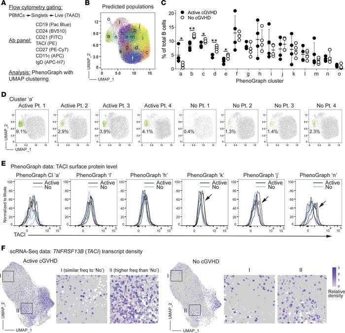High-dimensional flow cytometry further delineates naive and memory B ce...