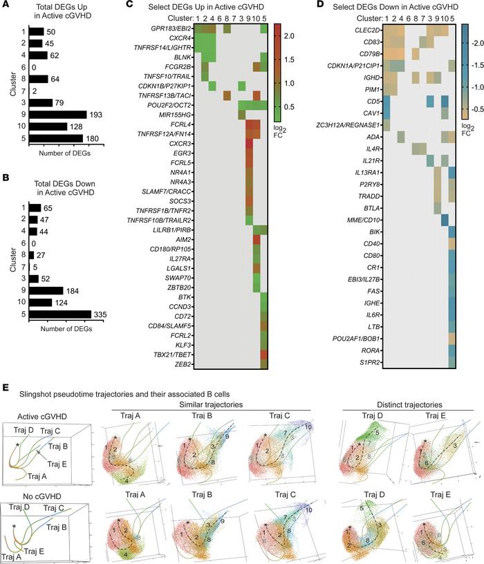 Molecules critical to B cell function are altered within clusters in act...