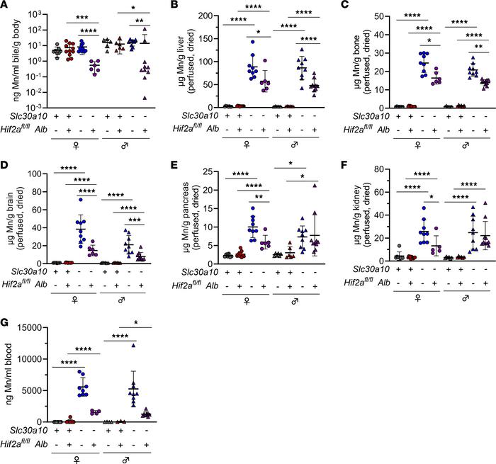 Hepatocyte Hif2a deficiency attenuates Mn excess in Slc30a10–/– mice.
Tw...