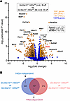 Hepatocyte Hif2a deficiency attenuates differential gene expression in live