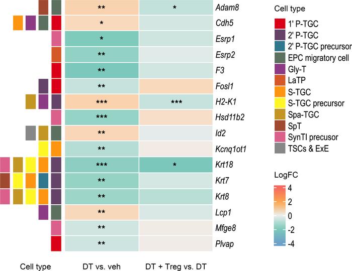 Treg cell depletion causes a perturbation in decidual trophoblast genes ...