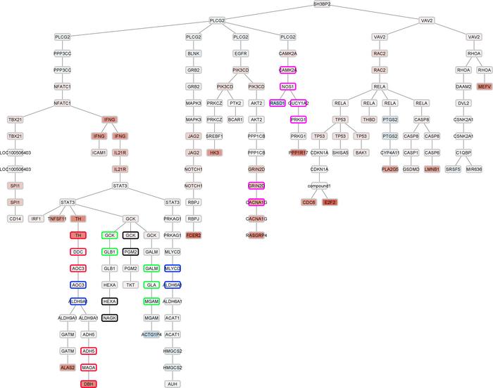 Pathway network map generated using SH3BP2 as the seed gene in the glome...