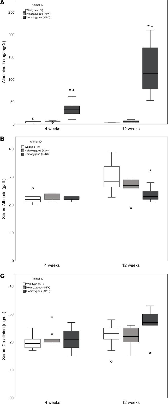 Urine albumin/creatinine ratio, serum albumin, and serum creatinine.
Box...