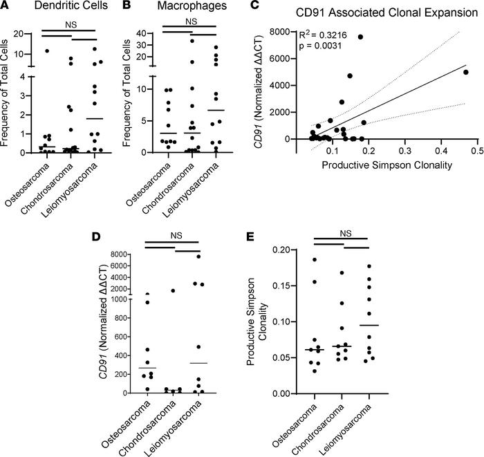 CD91 is one determinant for antitumor T cell responses in cancer immunos...