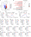 SHP2E76K mutation causes hyperactive mitochondrial metabolism in MSCs.