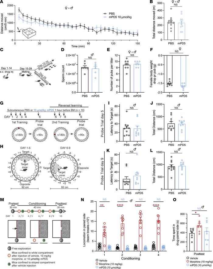 Effect of mPD5 on naive animals.
(A and B) Locomotor response of mice in...