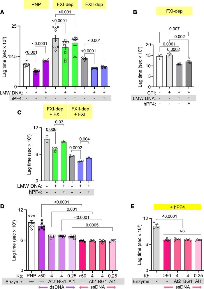 Effect of hPF4 on fibrin generation in FXI- and FXII-depleted plasma and...