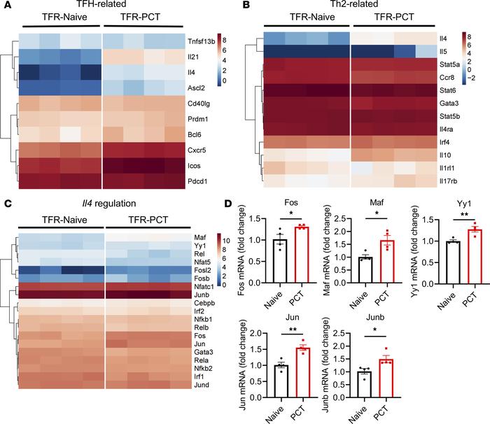 Gene profiling of naive TFR cells and TFR cells in food allergy.
(A–C) H...