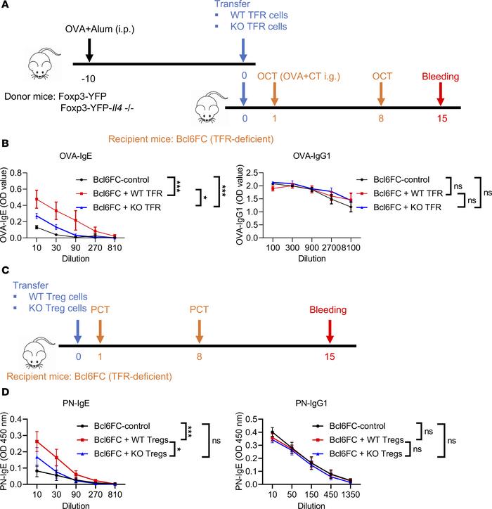 TFR-derived IL-4 contributes to antigen-specific IgE but not IgG1 in viv...