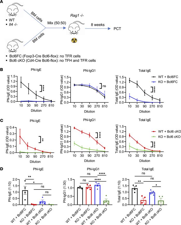Antigen-specific IgE and IgG1 are differentially affected by IL-4 produc...