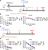 TFR-derived IL-4 contributes to antigen-specific IgE but not IgG1 in vivo.