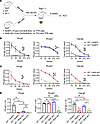 Antigen-specific IgE and IgG1 are differentially affected by IL-4 produced