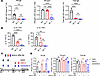 Antigen-specific IgE and IgG1 are differentially affected by IL-4 levels.