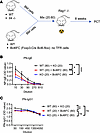 TFR cell–derived IL-4 can promote IgE in a BM chimera system.