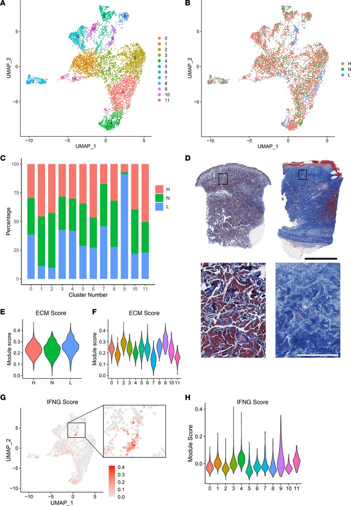Lesional versus HC exhibit robust differences in transcriptomic profilin...
