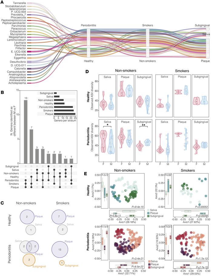 Smoking exacerbates sexual dimorphism in dental plaque composition but, ...
