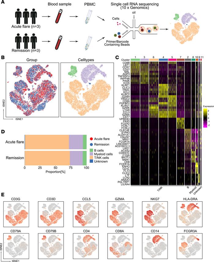 Single-cell transcriptome profiling of PBMCs between gout flare and remi...