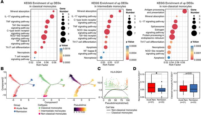 HLA-DQA1hi nonclassical monocytes regulate monocyte subtype differentiat...