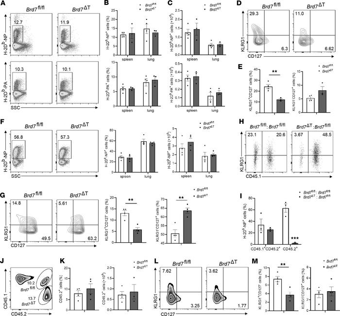 BRD7 controls SLEC differentiation.
(A) Flow cytometry of influenza H-2D...