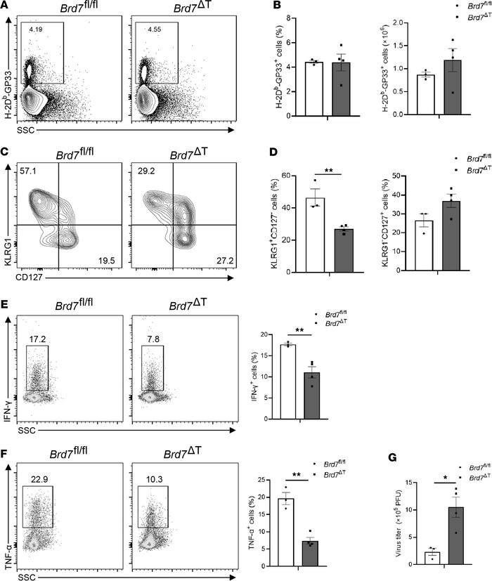 BRD7 controls SLEC differentiation during LCMV infection.
(A) Flow cytom...