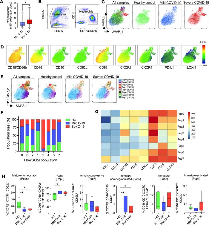 Phenotypic analysis of whole blood neutrophils reveals distinct neutroph...
