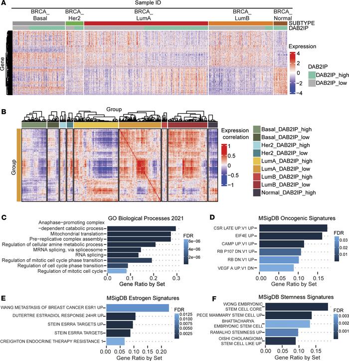 Gene expression profiling based on DAB2IP status revealed distinct clust...