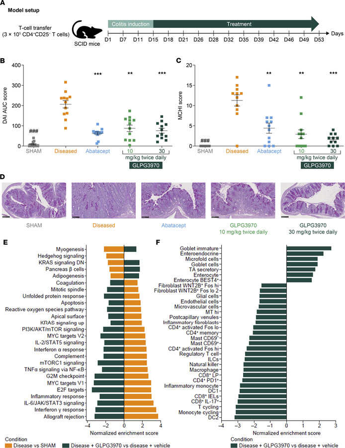 SIK2/SIK3 inhibition attenuates disease in T cell transfer colitis model...