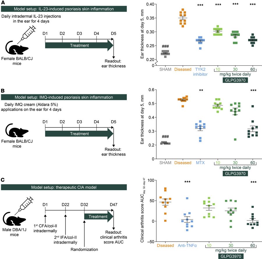 GLPG3970 attenuates PsO-like skin inflammation and arthritis in mouse di...