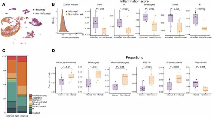 Cellular and transcriptional changes associated with mucosal inflammatio...