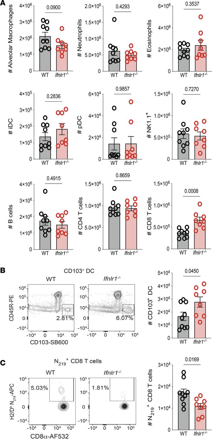 IFN-λ signaling is required for the generation of SARS-CoV-2–specific CD...