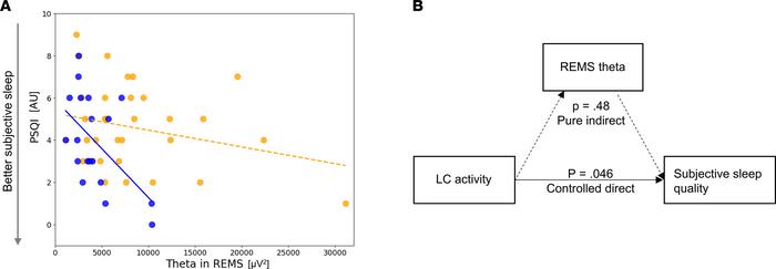 Associations between subjective sleep quality and REMS theta power.
(A) ...