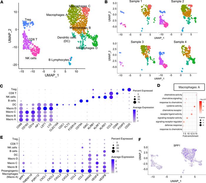 Immune cell clustering, gene expression profile, and macrophage-expressi...
