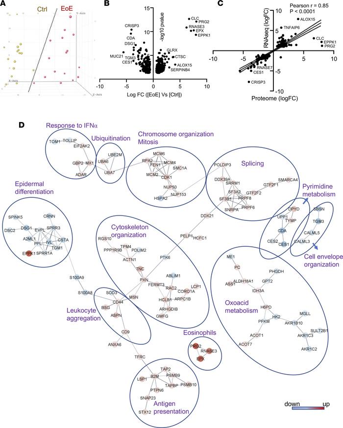 EoE proteomics signature.
(A) Principal component analysis of the result...