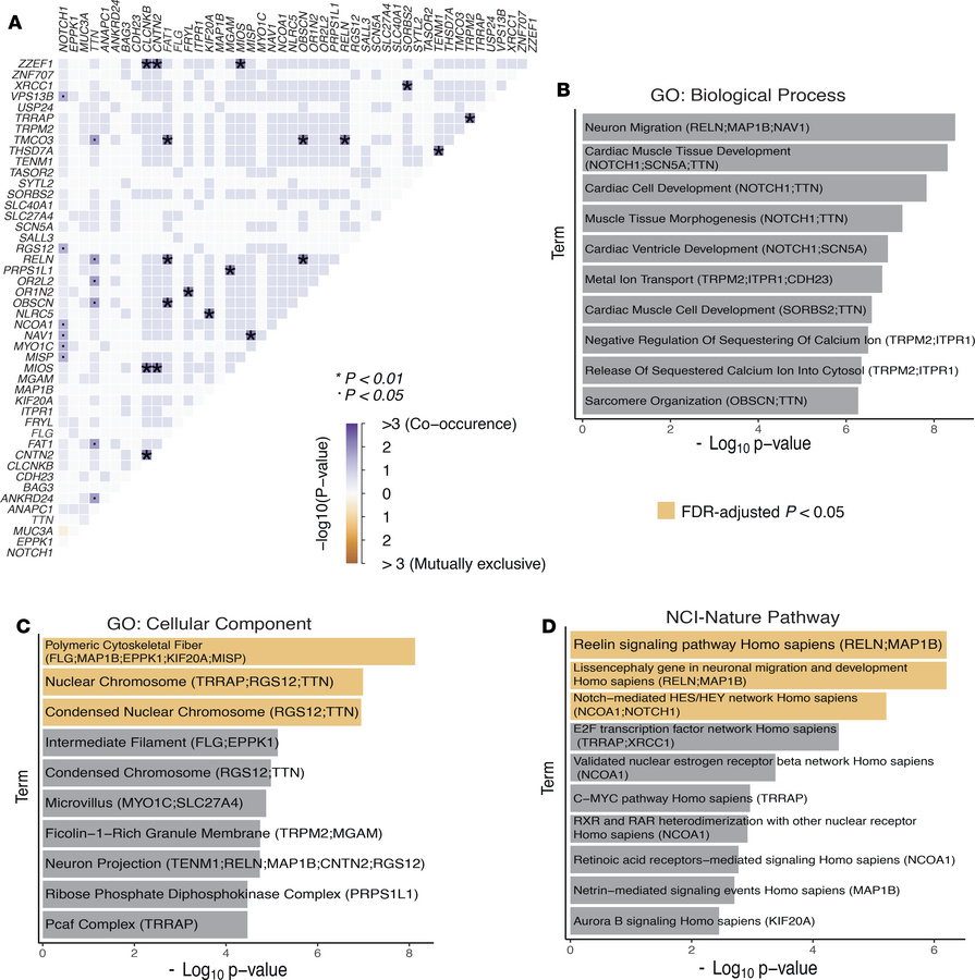 Co-occurrence and enrichment of recurrent somatic mutations in PN lesion...