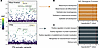 Distinct somatic selection in lesional skin of African American patients wi