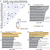 Co-occurrence and enrichment of recurrent somatic mutations in PN lesional