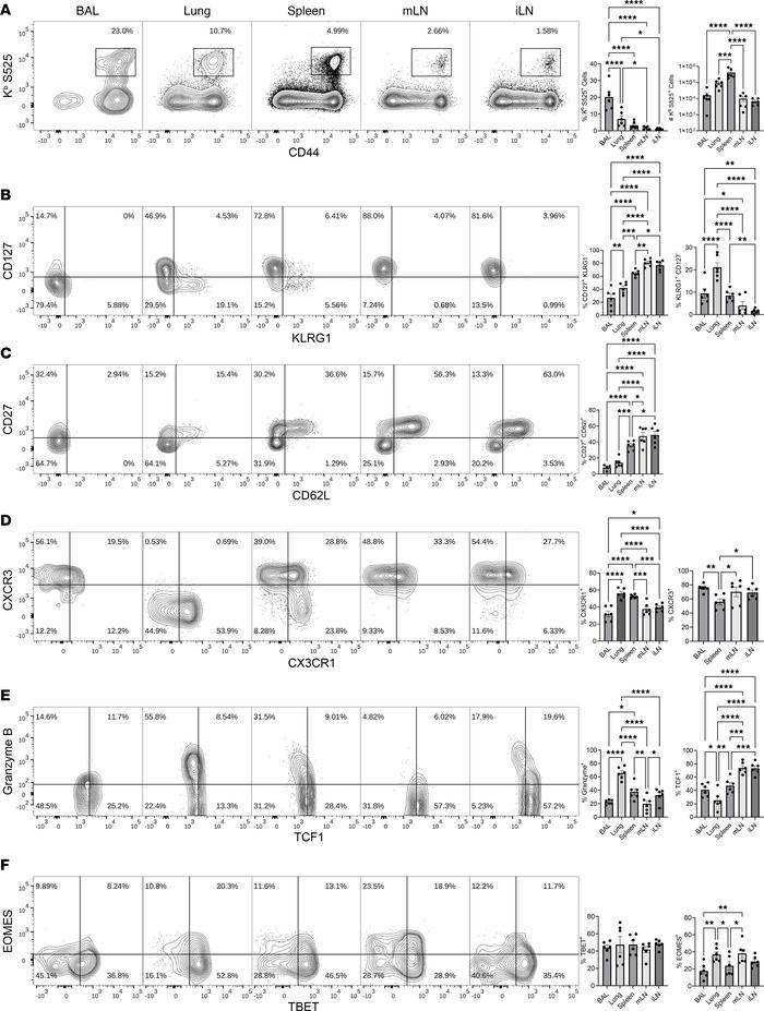 mRNA vaccine–induced mucosal and systemic CD8 T cell memory.
C57BL/6 mic...
