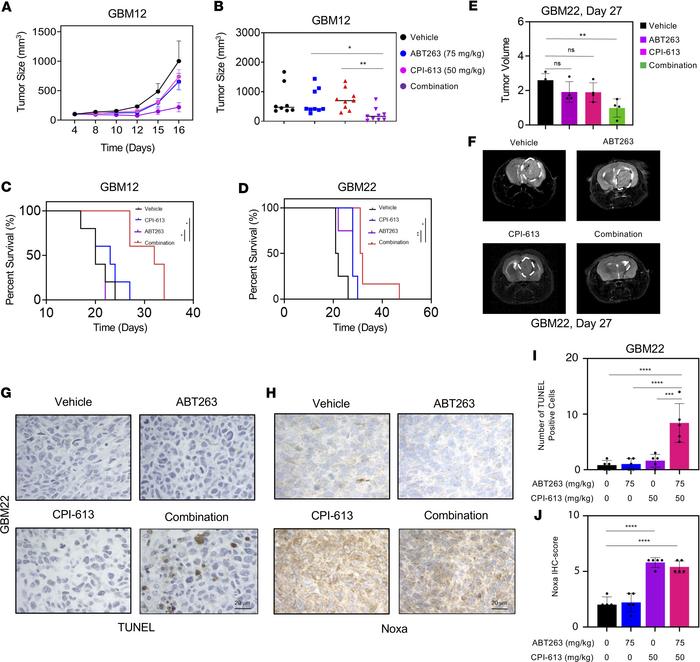 Dual inhibition of Bcl-xL and OGDH extends animal survival in orthotopic...