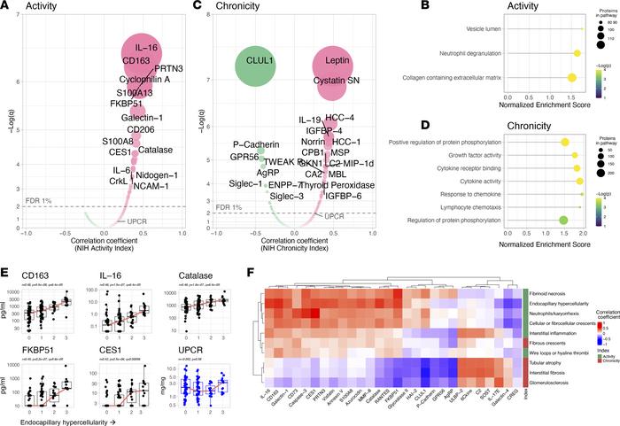 Proteomic signatures of histological activity and chronicity.
Volcano pl...