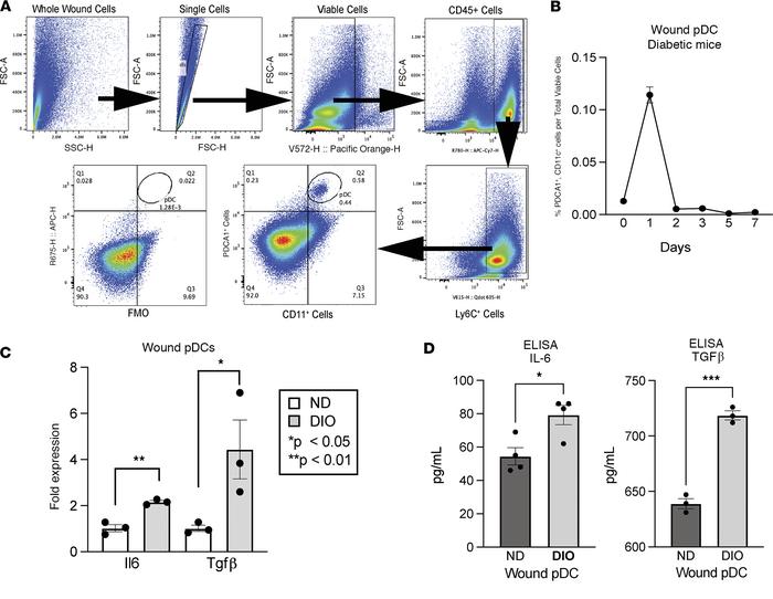 Diabetic wound pDCs respond early to tissue damage and produce IL-6 and ...