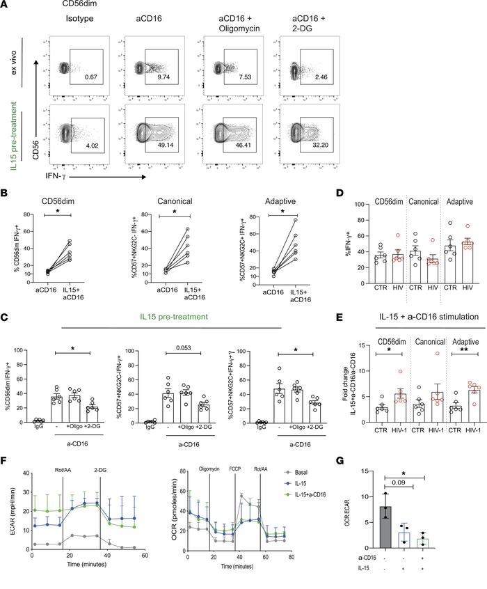 Effect of IL-15 priming on NK cells from HCMV+HIV-1– donors.
(A) Represe...