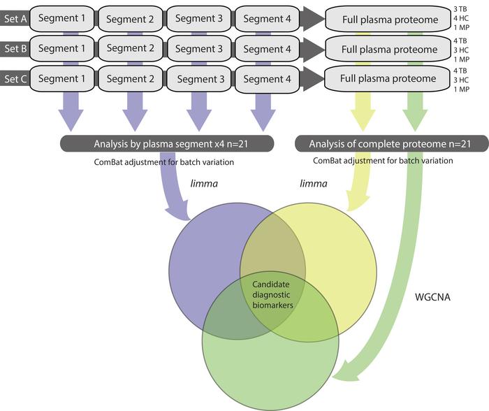 Bioinformatic analysis pipeline.
Discovery proteomics experiments were c...
