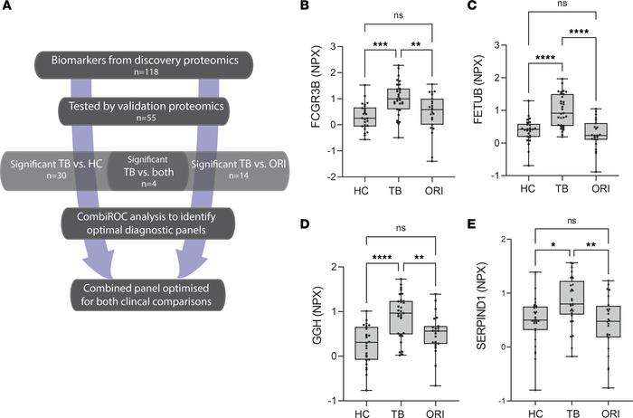 Discovery biomarker candidates validated by proximity extension analysis...